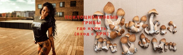 крисы Вязники