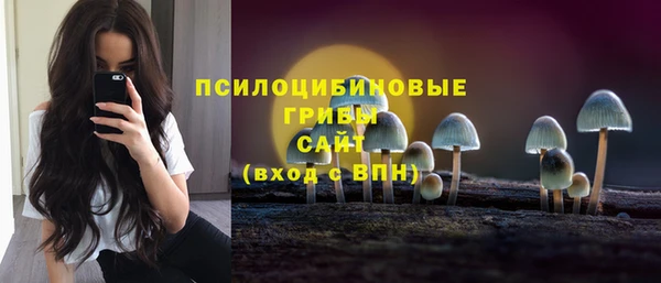 ALPHA PVP Вяземский