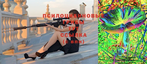 крисы Вязники