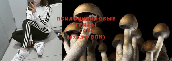 соль ск Сосновка