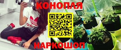 ALPHA PVP Гусиноозёрск