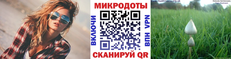 Псилоцибиновые грибы мухоморы  Мариинск 