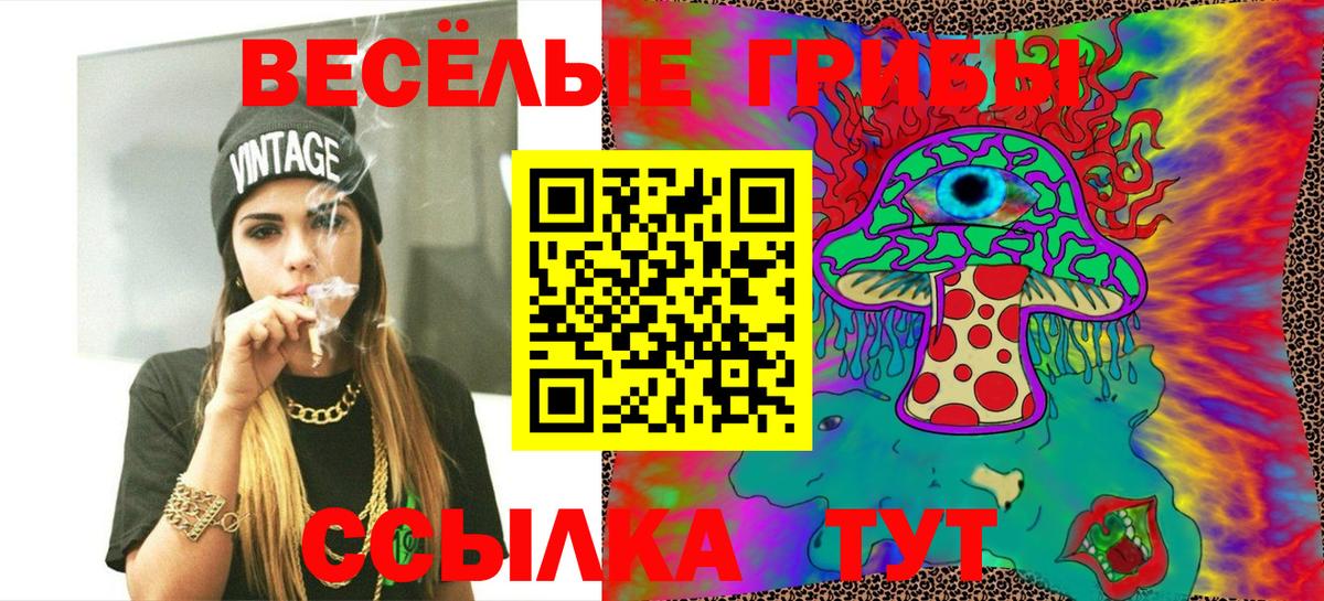 где можно купить   Галлюциногенные грибы мицелий  Вход с VPN  Мариинск 
