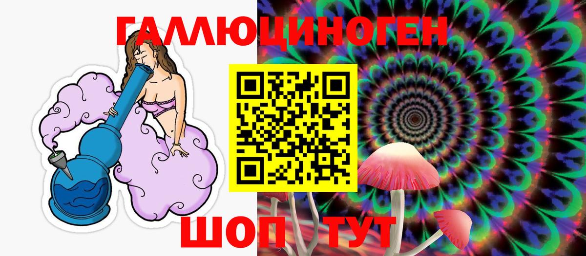 Псилоцибиновые грибы Psilocybine cubensis Мариинск